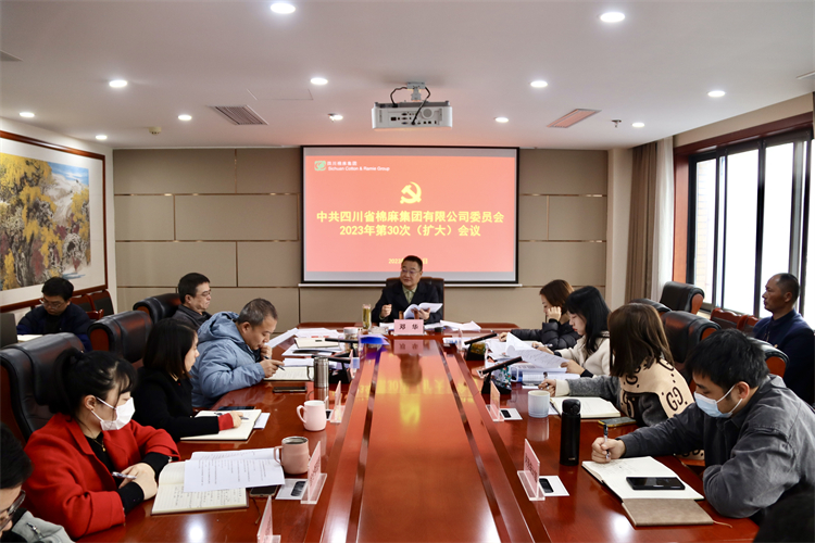 集團(tuán)公司召開2023年第30次黨委（擴(kuò)大）會議
