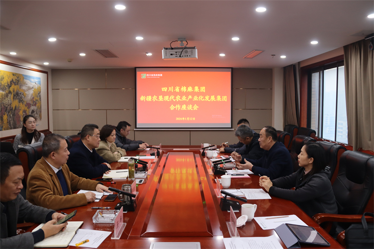 集團(tuán)公司召開(kāi)2024-2026年規(guī)劃工作會(huì)