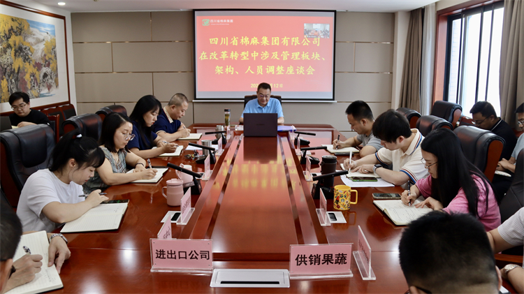 集團(tuán)公司召開在改革轉(zhuǎn)型中涉及管理板塊、架構(gòu)、人員調(diào)整座談會
