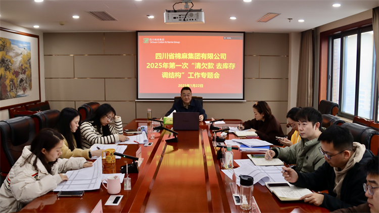 集團公司召開2025年第一次“清欠款、去庫存、調(diào)結(jié)構(gòu)”工作專題會