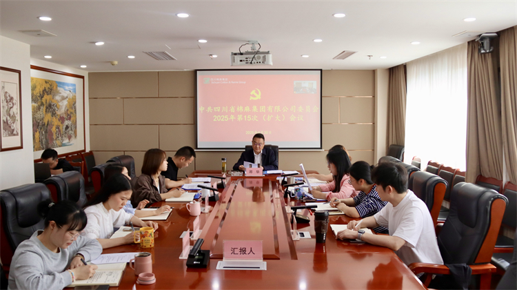 集團(tuán)公司召開2025年第15次黨委（擴(kuò)大）會議