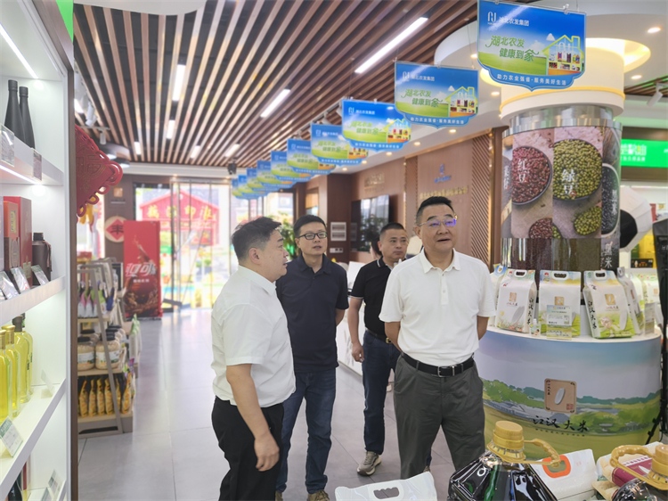 集團公司赴湖北農(nóng)發(fā)銷售集團考察交流