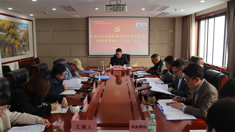 集團公司召開2025年第45次黨委（擴大）會議