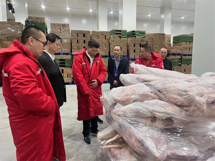 1698910469808879.jpg mtxx02.jpg